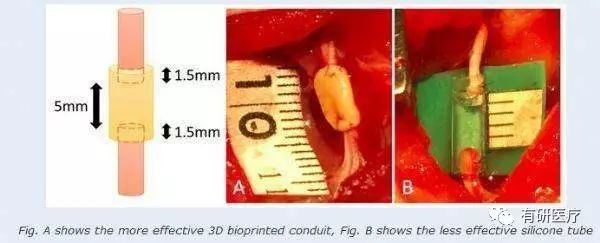 1515123176293562.jpg 640.jpg