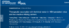 3344体育官网吴虹与复旦大学华山医院张文宏、仇超等合作取得慢性乙型肝炎病毒感染免疫治疗新进展！